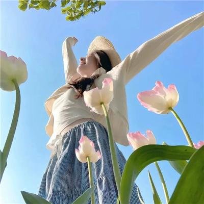 警花燕子
